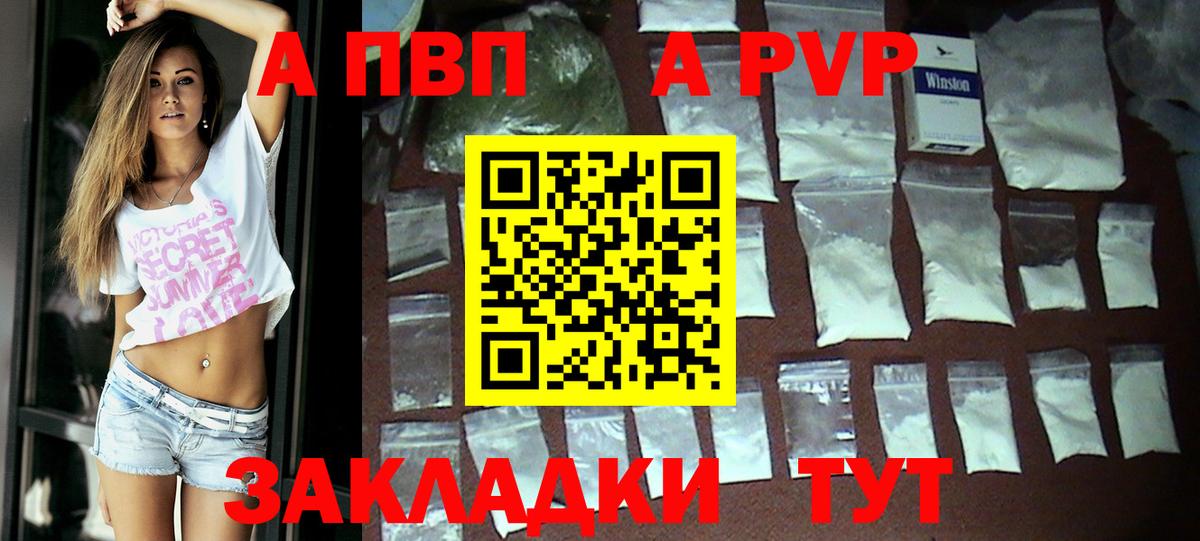 Альфа ПВП СК Шали