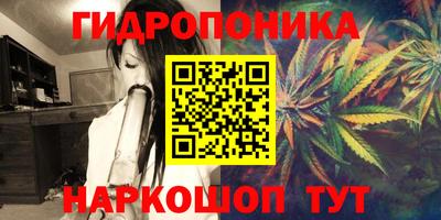 эйфоретик Кандалакша