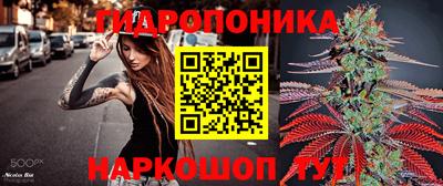 прущие крисы Ипатово