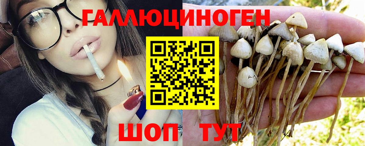 Шали  Галлюциногенные грибы ЛСД  Вход с VPN 